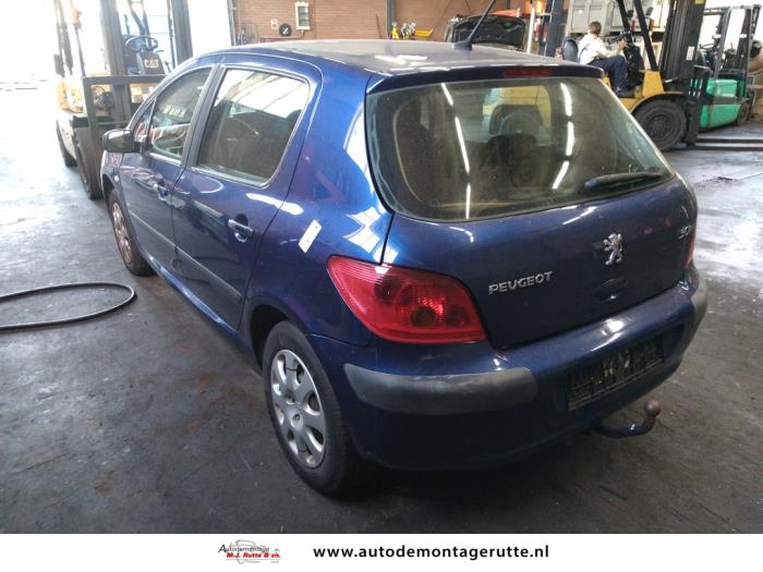 Peugeot 307 1.6 16V Samochód złomowany (2004, Szary)