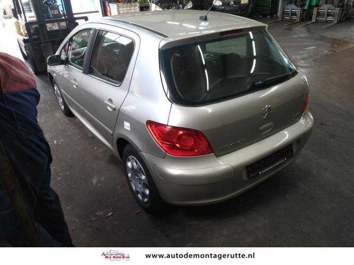 Peugeot 307 1.4 16V Schrottauto (2006, Grau)