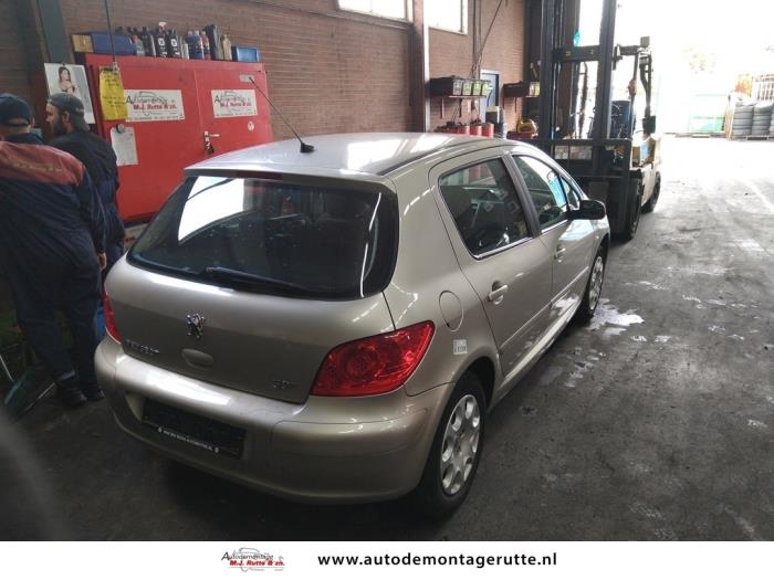 Peugeot 307 1.4 16V Schrottauto (2006, Grau)