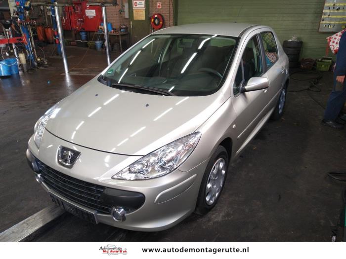 Peugeot 307 1.4 16V Schrottauto (2006, Grau)