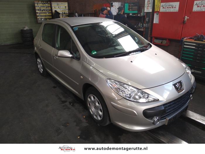 Peugeot 307 1.4 16V Schrottauto (2006, Grau)