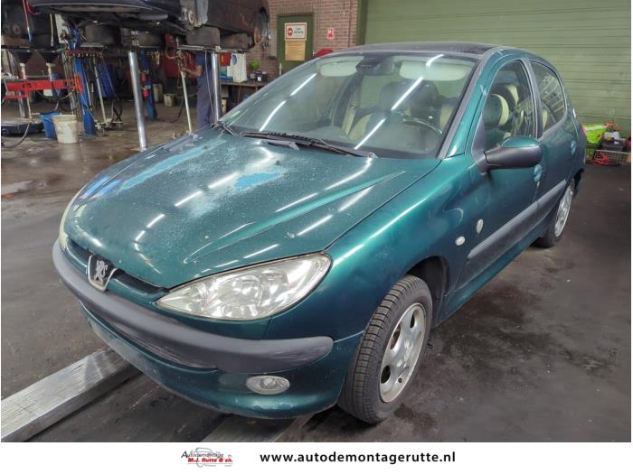Peugeot 206 1.6 XS,XT  (Rozbiórka)