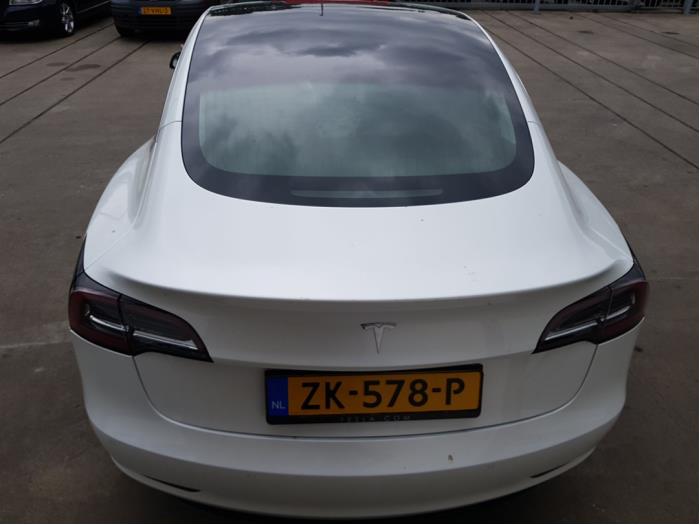 Tesla Model 3 Standard Range Plus Samochód złomowany (2019, Bialy)