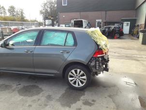 Volkswagen Golf VII 1.0 TSI 12V BlueMotion Épave (2019, Gris)