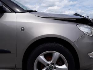 Skoda Fabia II Combi 1.2 TDI 12V Greenline Épave (2011, Beige)