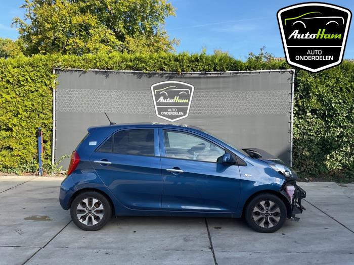 Kia Picanto 1.0 12V Schrottauto (2016, Blau)