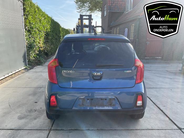 Kia Picanto 1.0 12V Schrottauto (2016, Blau)