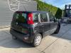 Fiat Panda/Pandina 0.9 TwinAir 65 Schrottauto (2014, Schwarz)