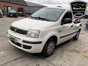 Fiat Panda 1.2, Classic Vehículo de desguace (2012, Blanco)