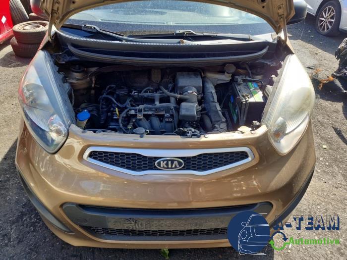 Kia Picanto 1.0 12V Schrottauto (2011, Braun)