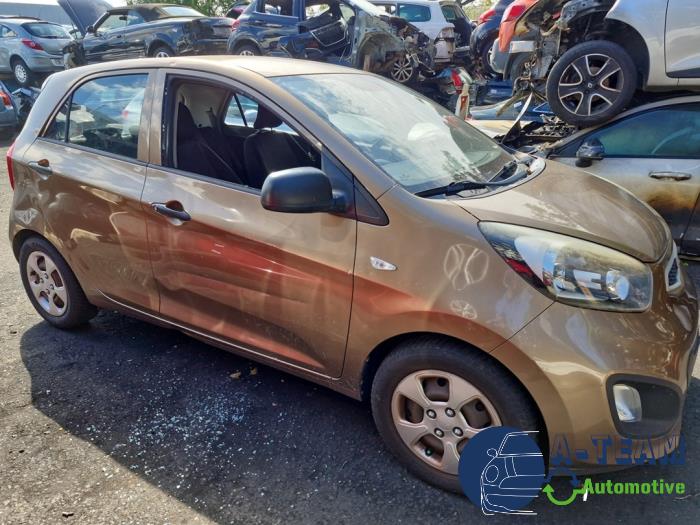 Kia Picanto 1.0 12V Schrottauto (2011, Braun)