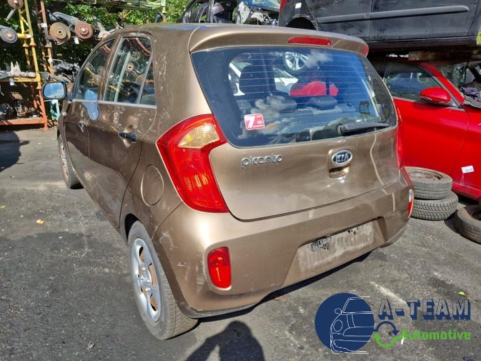 Kia Picanto 1.0 12V Schrottauto (2011, Braun)