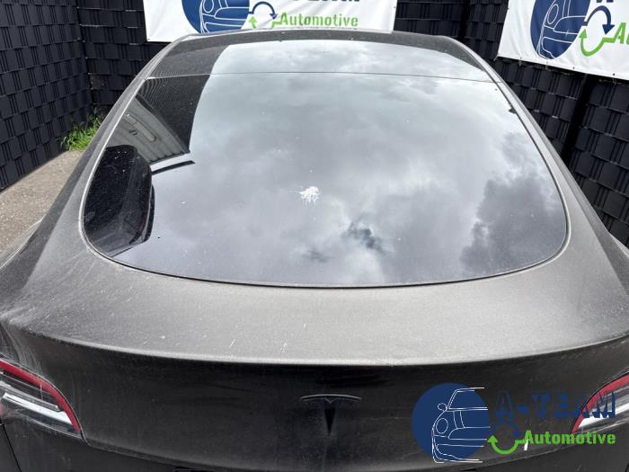 Tesla Model Y Long Range,Performance Vehículo de desguace (2023, Negro)