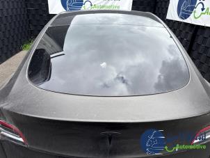 Tesla Model Y Long Range,Performance Vehículo de desguace (2023, Negro)