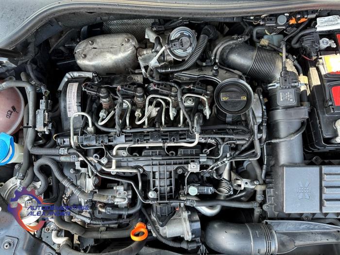 Volkswagen Golf VI 1.6 TDI 16V Skrotfordon (2011, ZWART)