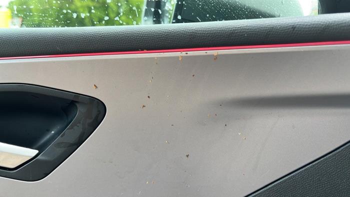 Seat Leon 1.4 TSI e-HYBRID 204 16V Épave (2020, Métallisé, Noir)