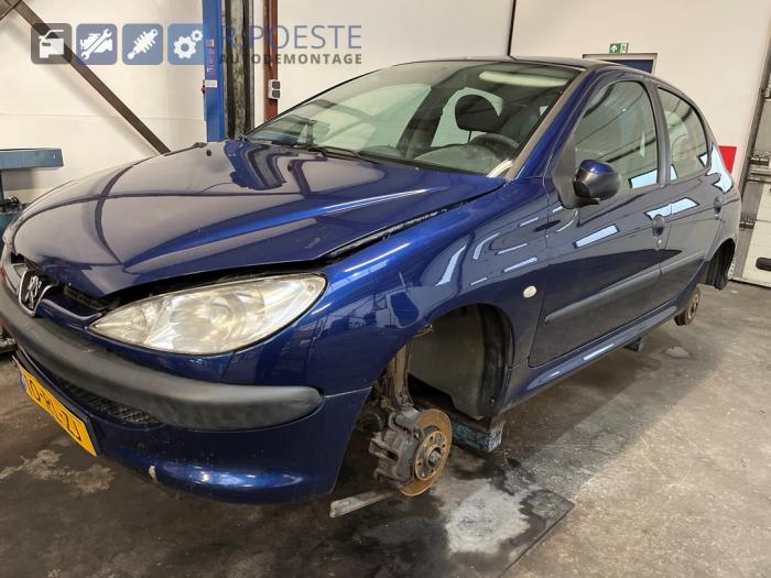 Peugeot 206 1.4 XR,XS,XT,Gentry Vehículo de desguace (2005, Azul)