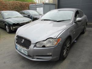Jaguar XF 3.0 D V6 24V Samochód złomowany (2010, Szary)