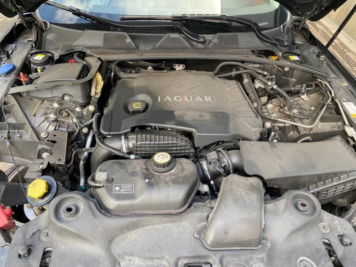 Jaguar XJ 3.0 D V6 24V Épave (2013, Gris)