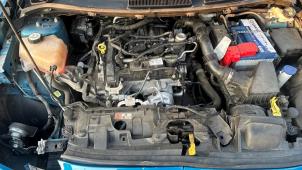 Ford Fiesta 6 1.0 Ti-VCT 12V 65 Vehículo de desguace (2014, Azul, Blanco candy)