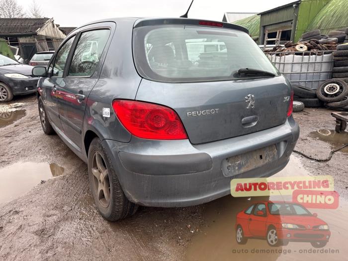 Peugeot 307 1.6 16V Épave (2006, Gris)