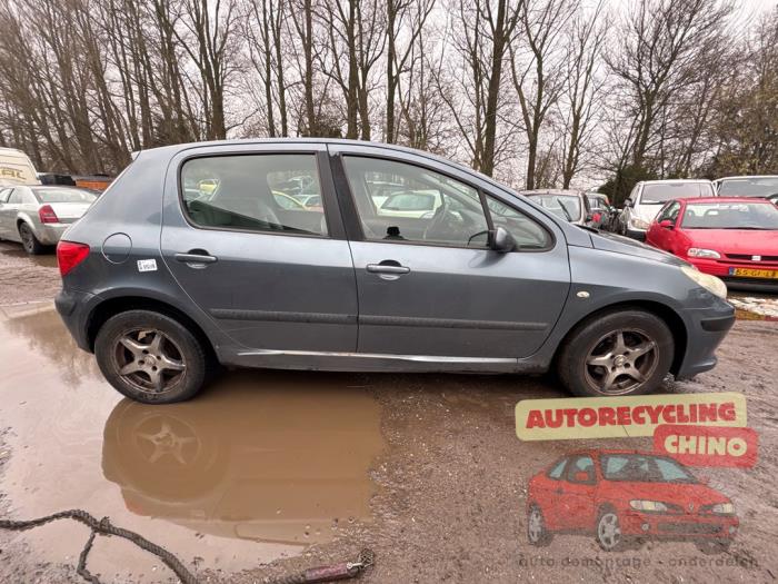 Peugeot 307 1.6 16V Épave (2006, Gris)
