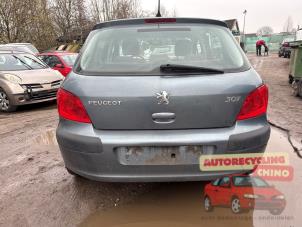 Peugeot 307 1.6 16V Épave (2006, Gris)