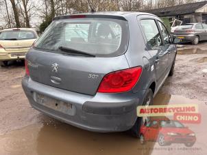 Peugeot 307 1.6 16V Épave (2006, Gris)