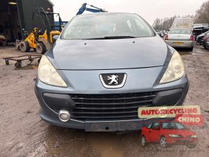 Peugeot 307 1.6 16V Épave (2006, Gris)