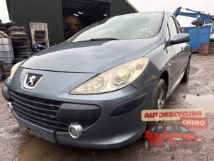 Peugeot 307 1.6 16V Épave (2006, Gris)