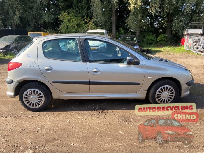Peugeot 206 1.4 16V Samochód złomowany (2004, Szary)